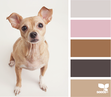 美丽的配色卡啊——04