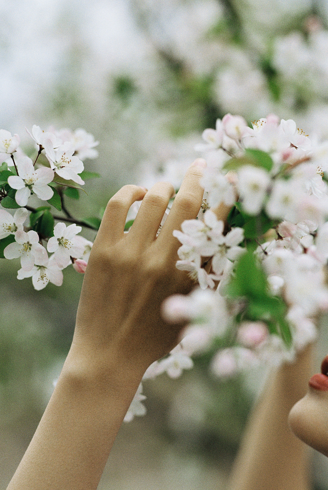 花季（图ZMjUyMDcyOTg4） - 人像摄影 - 站酷设计师白山Gavin原创素材 - 站酷ZCOOL