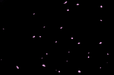 酷酷的阿琳的個人主頁（背景預(yù)覽） - 主頁背景設(shè)置 - 站酷設(shè)計師酷酷的阿琳原創(chuàng)素材 - 站酷ZCOOL