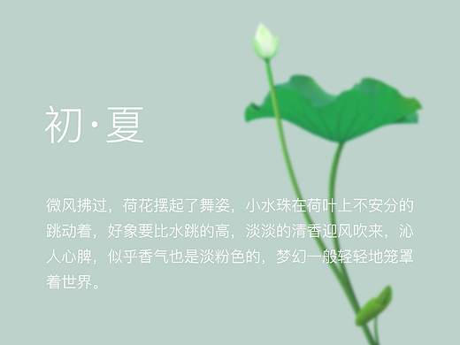 初·夏（个人主页-ZMjY4NjU3MjQ=） - 主题/皮肤 - 站酷设计师特别关心1原创素材 - 站酷ZCOOL