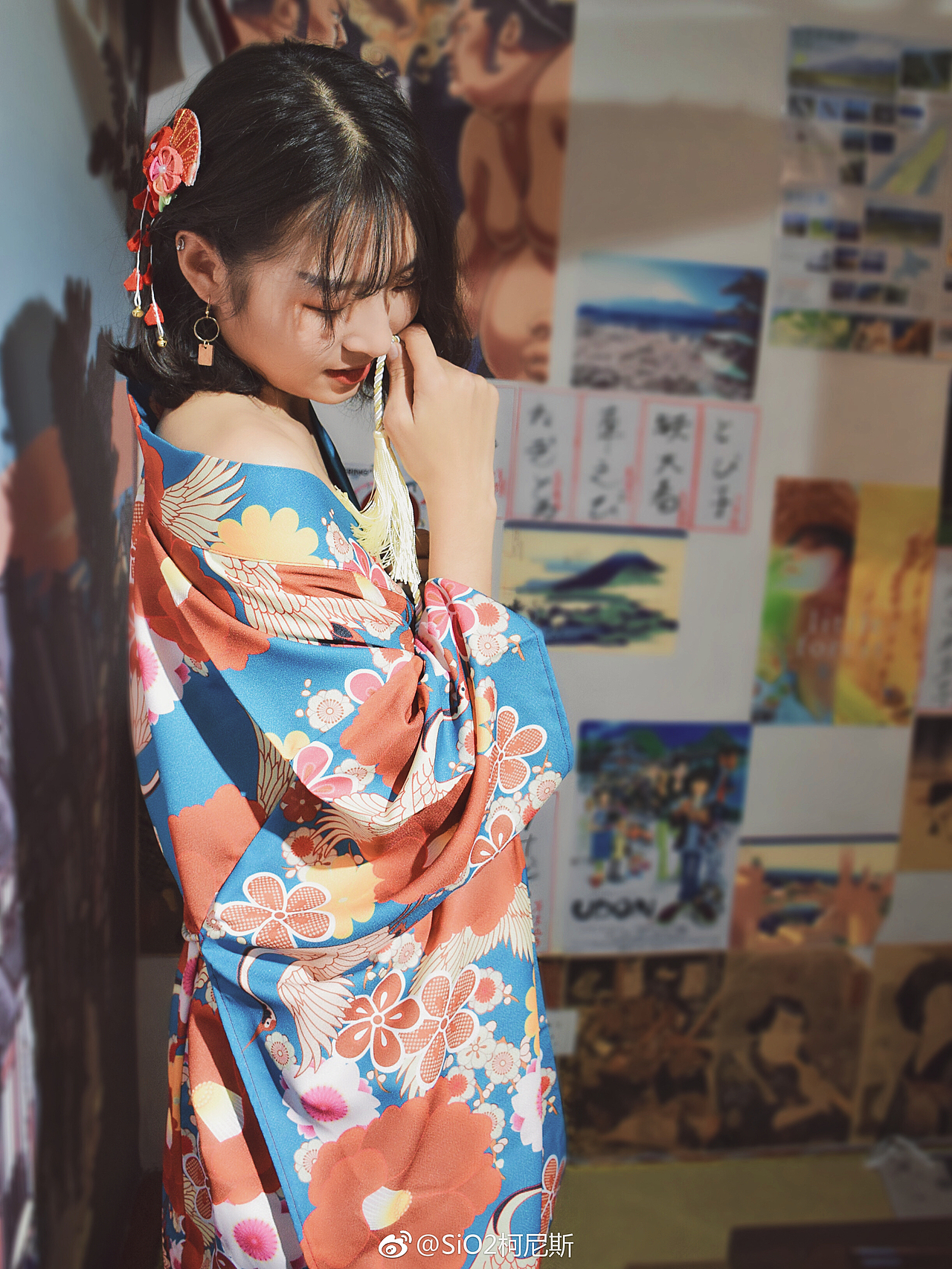 【9月の菊和璧】