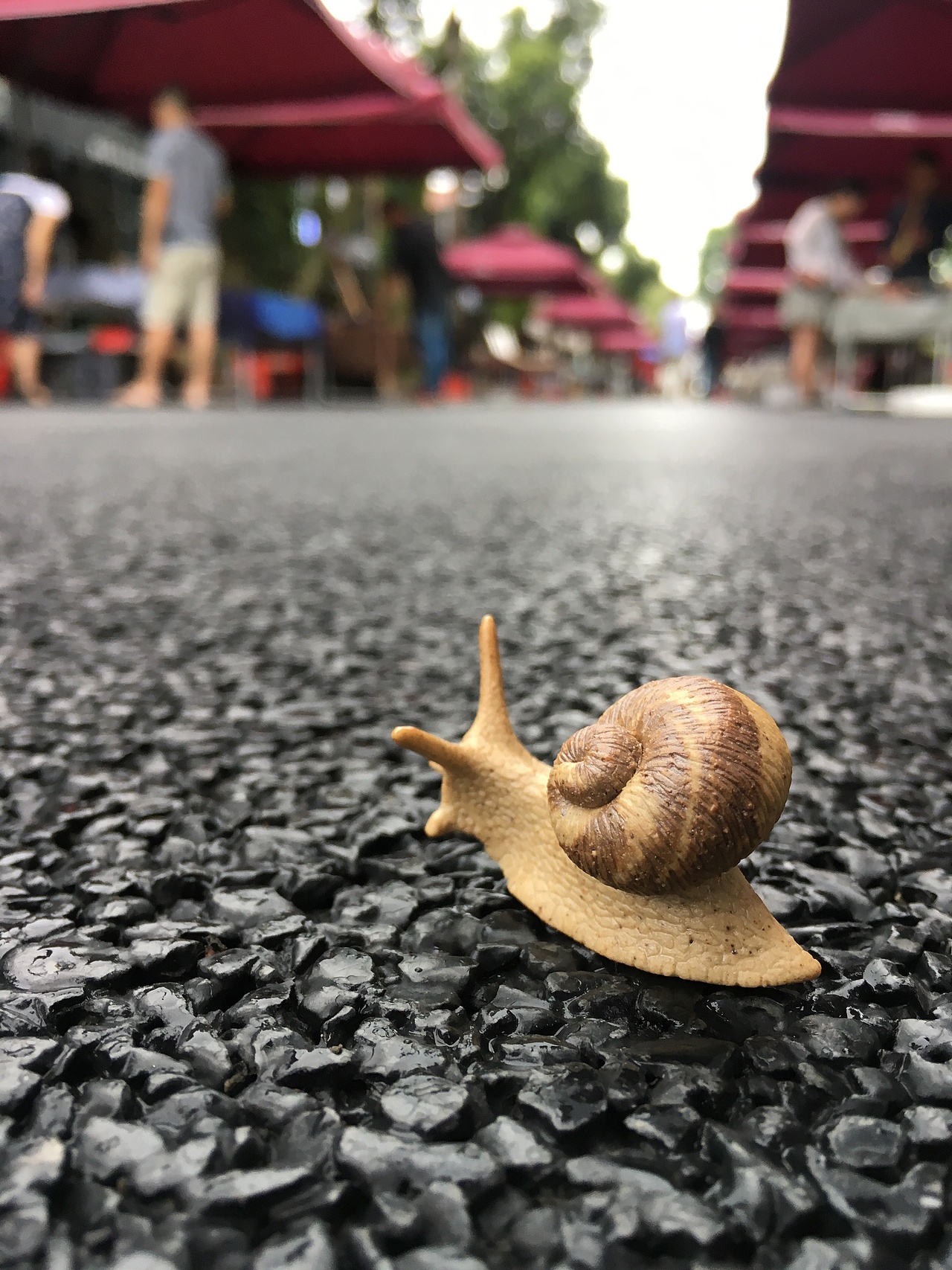 [z加油]（圖ZMTIxMzMzMTg0） - 其他手工藝 - 站酷設(shè)計(jì)師樂亦123原創(chuàng)素材 - 站酷ZCOOL