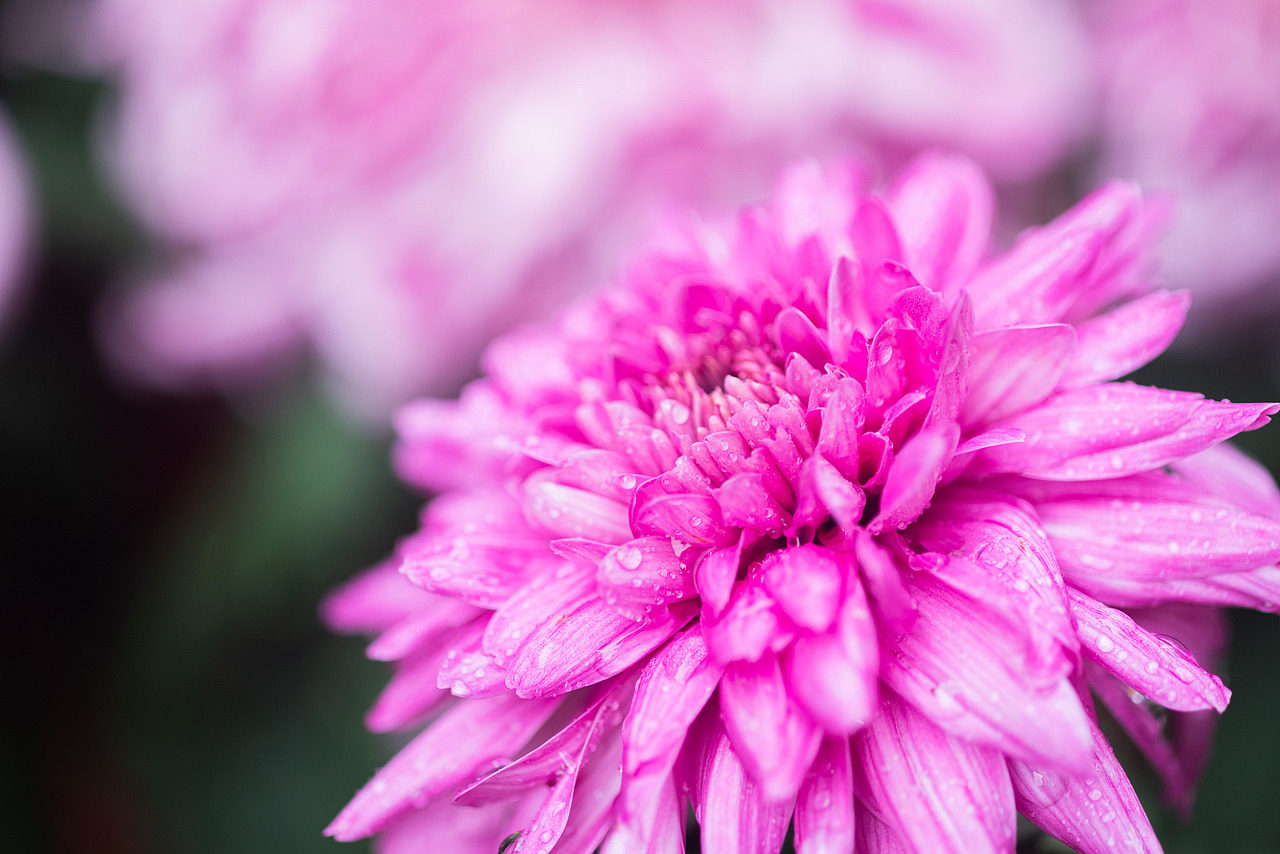 共青森林公园秋天的景色