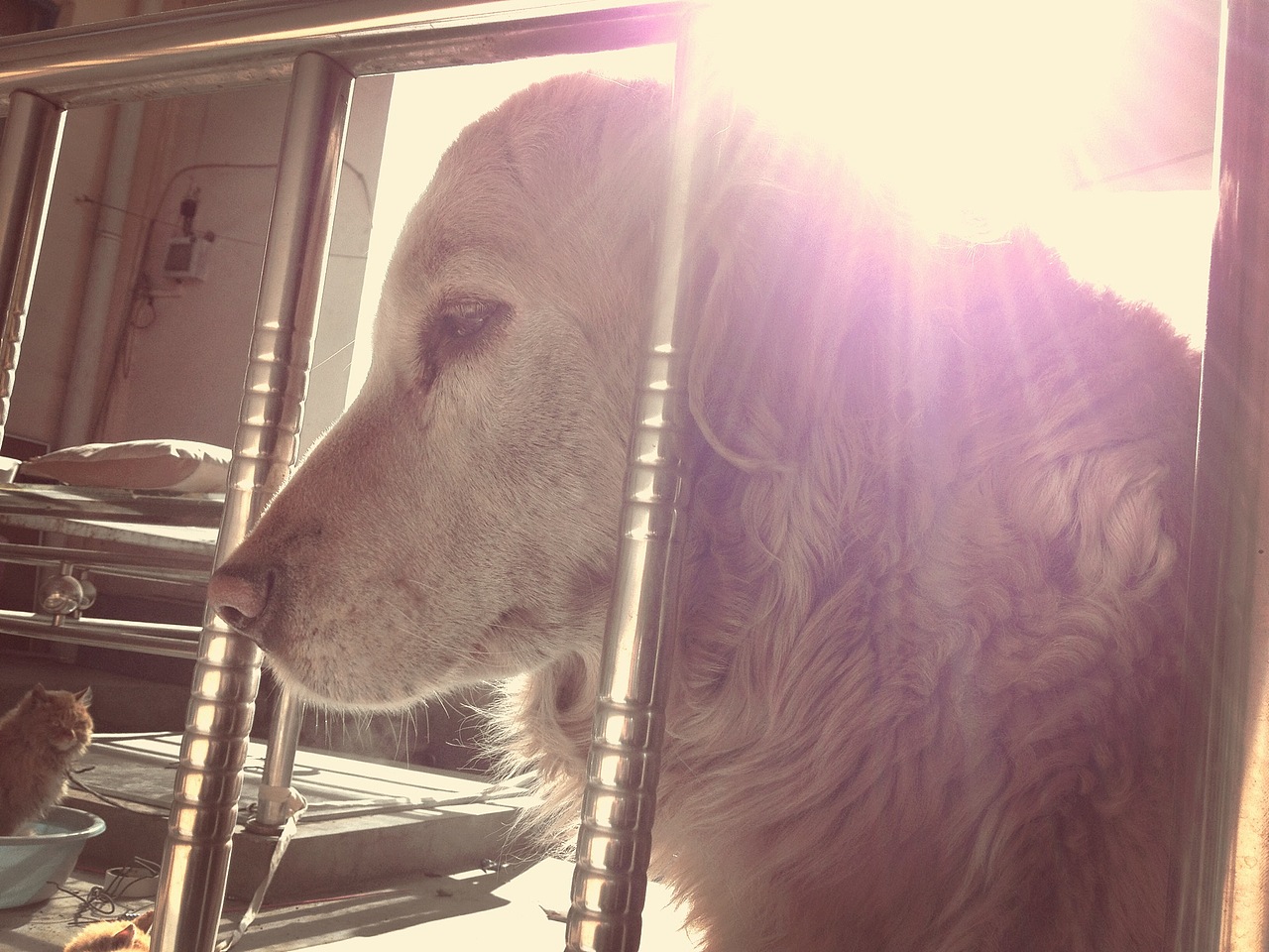 纪录（图ZNDQwNjQ3MzY=） - 风光摄影 - 站酷设计师lzyongcool原创素材 - 站酷ZCOOL