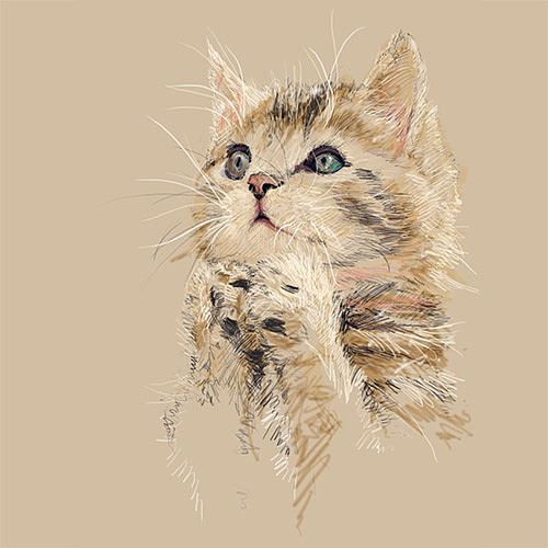 插画（图ZNjY5MTU1ODA=） - 创作习作 - 站酷设计师问问舍原创素材 - 站酷ZCOOL