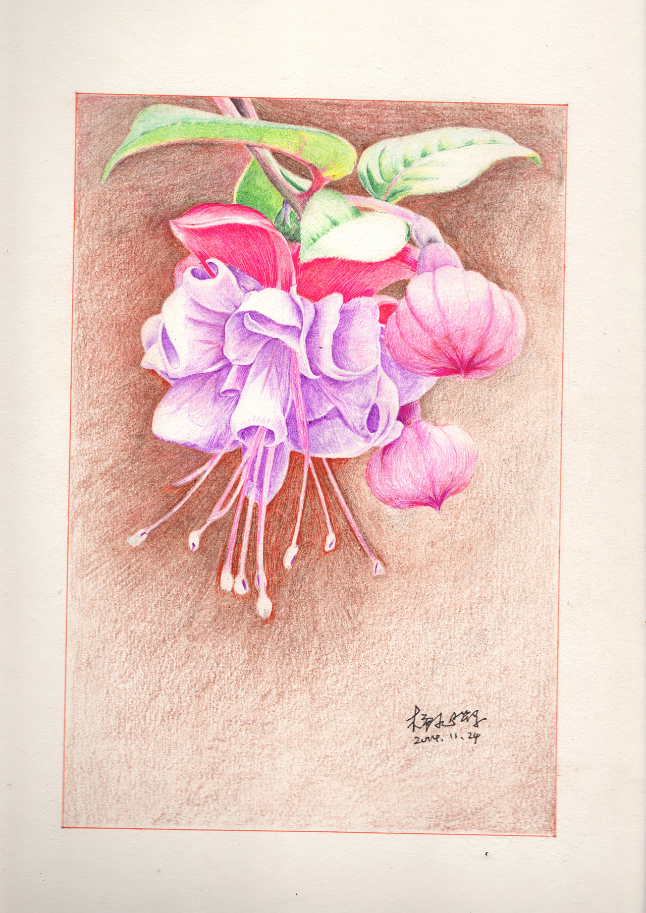 手绘——倒挂金钟（图ZMjE5Njc4MjA=） - 绘画 - 站酷设计师简一原创素材 - 站酷ZCOOL