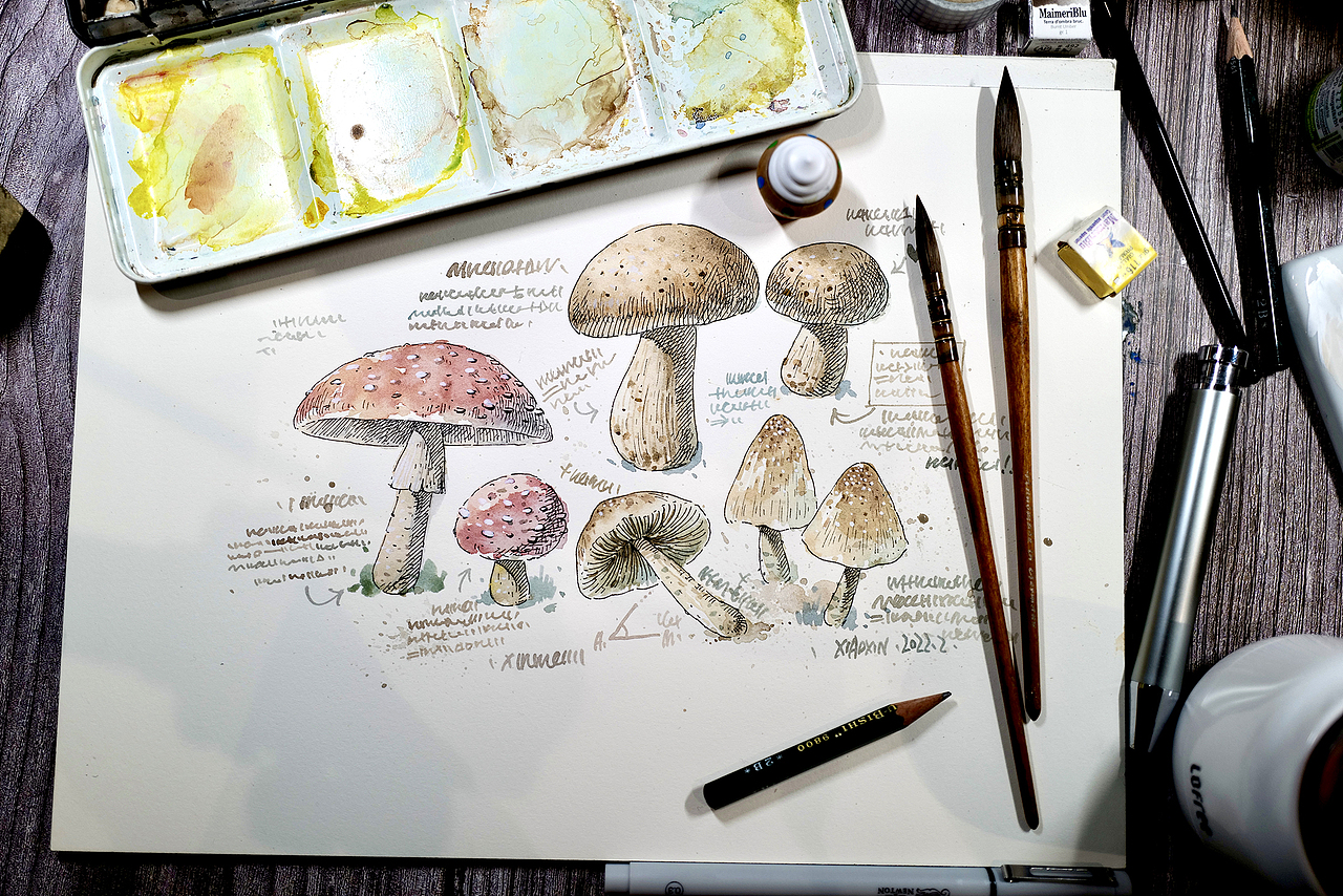 钢笔淡彩班课堂示范(图ZMjg4MDQ3MDAw) - 儿童插画 - 站酷设计师小新插画原创素材 - 站酷ZCOOL