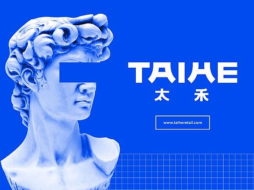 太禾（TAIHE）品牌形象设计