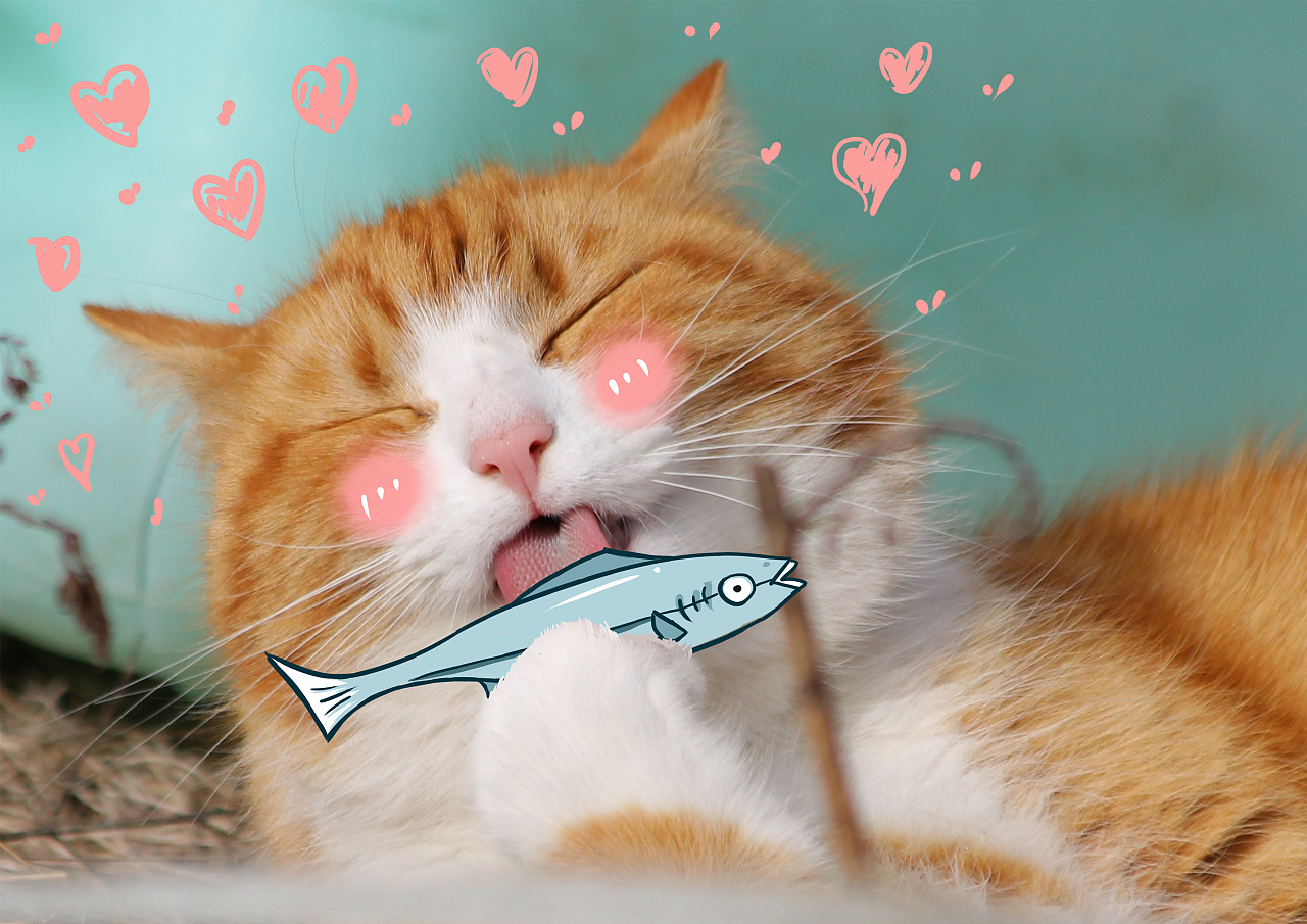 占坑吃条小鱼干|平面|图案|次所没次纸 - 原创作品 - 站酷 (zcool)