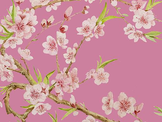 十二月花神之三月花神 桃花