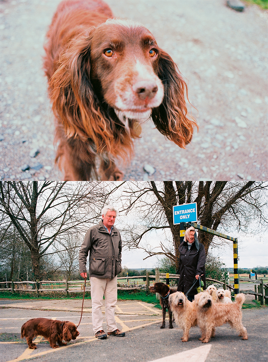 VOL.#（图ZMTU3Nzg5NTQ4） - 人像摄影 - 站酷设计师翔子lens原创素材 - 站酷ZCOOL