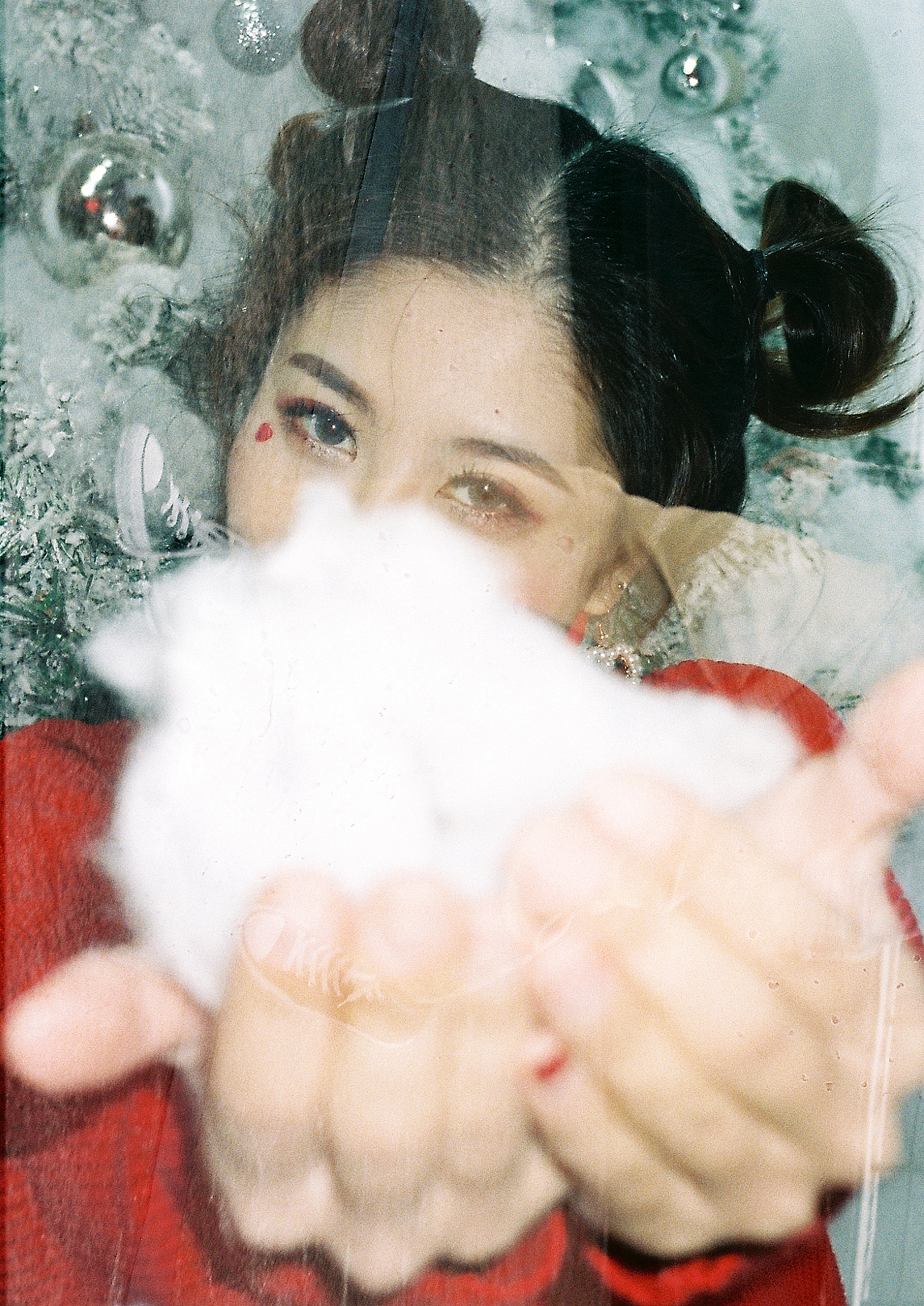 树生长摄影 | 个人写真#客片欣赏