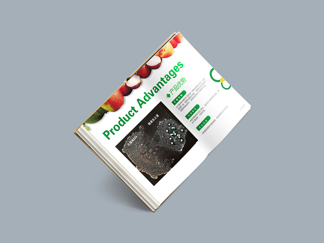 农业画册（图ZMTk5ODUyNzQw） - 海报 - 站酷设计师哎呦庞庞原创素材 - 站酷ZCOOL