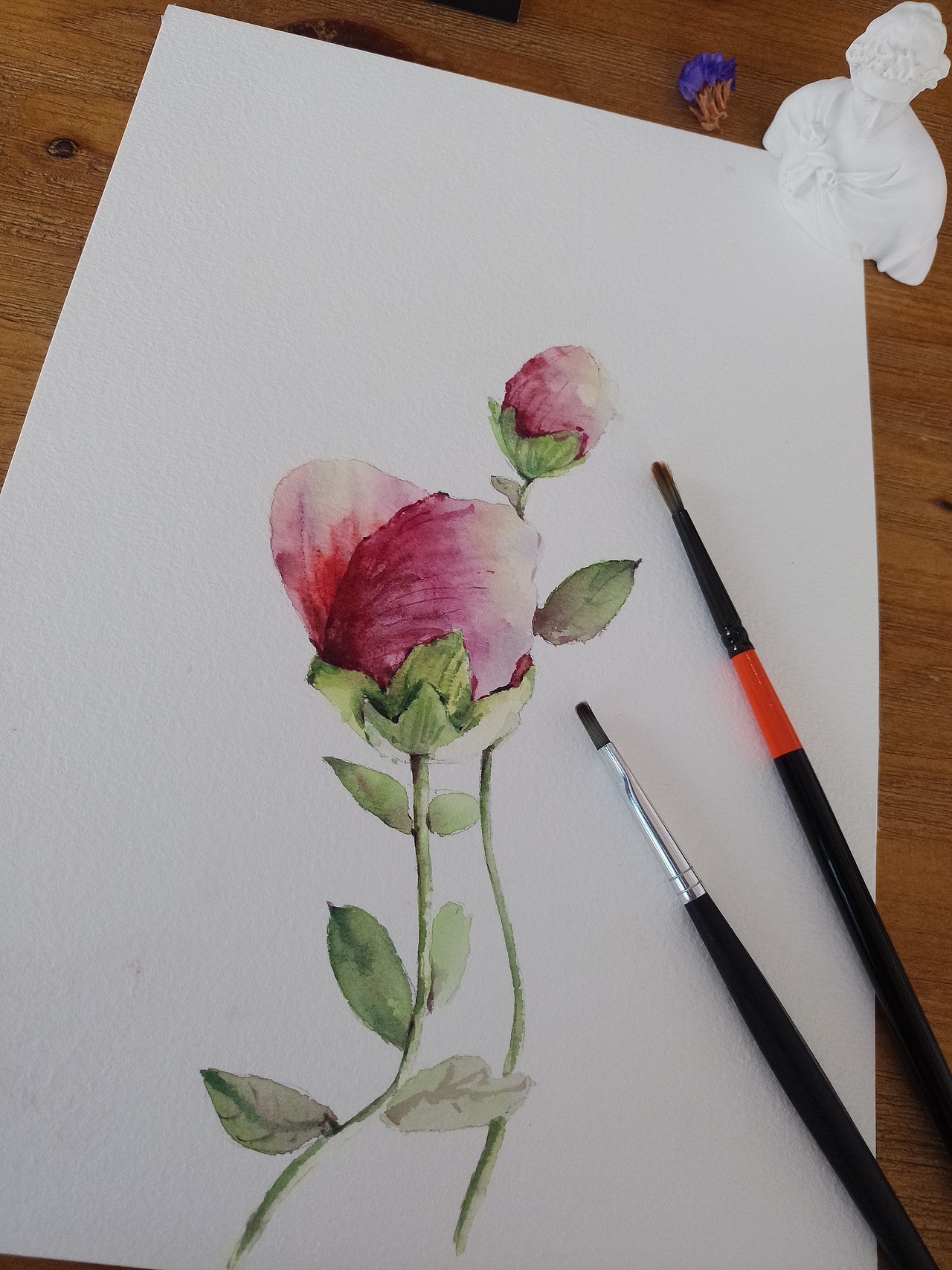 成人零基础水彩课