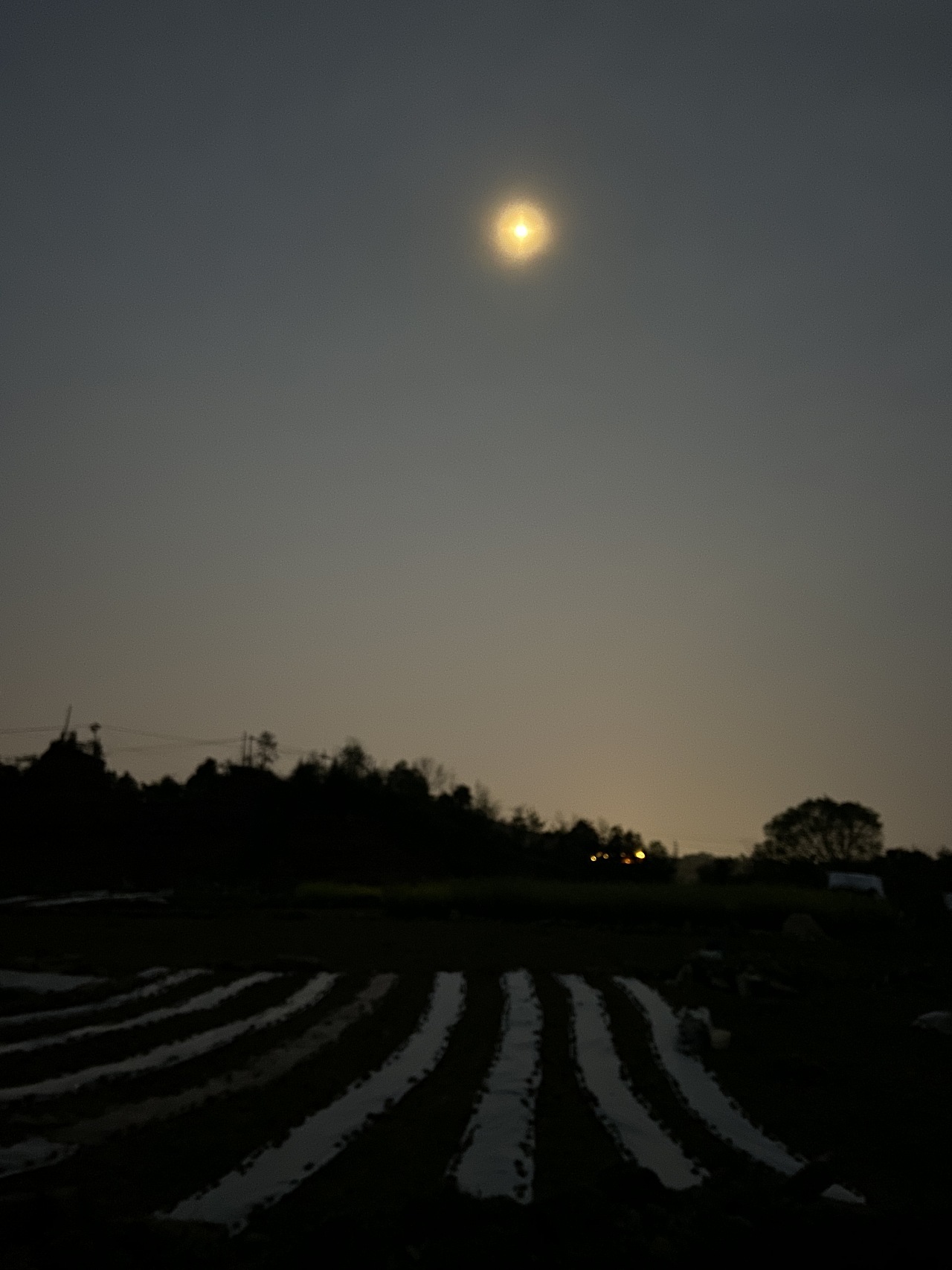 月亮下的田野|摄影|风光摄影|猫儿屁 - 原创作品 - 站酷 (zcool)