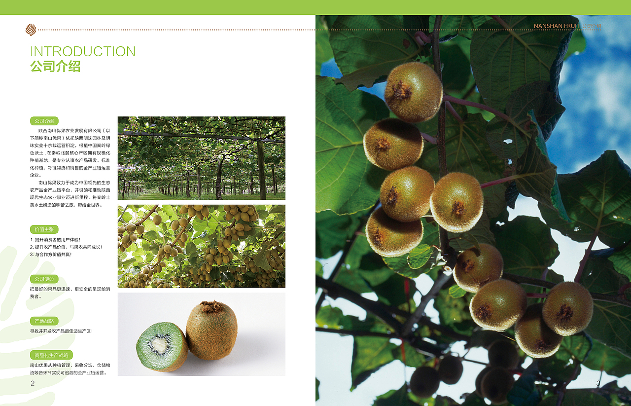 獼猴桃 宣傳冊(cè)（圖ZMjE1NDkzNzY=） - 書籍/畫冊(cè) - 站酷設(shè)計(jì)師菲菲geek原創(chuàng)素材 - 站酷ZCOOL