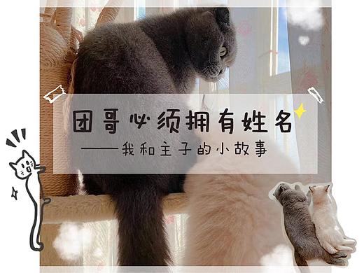 团哥必须拥有姓名