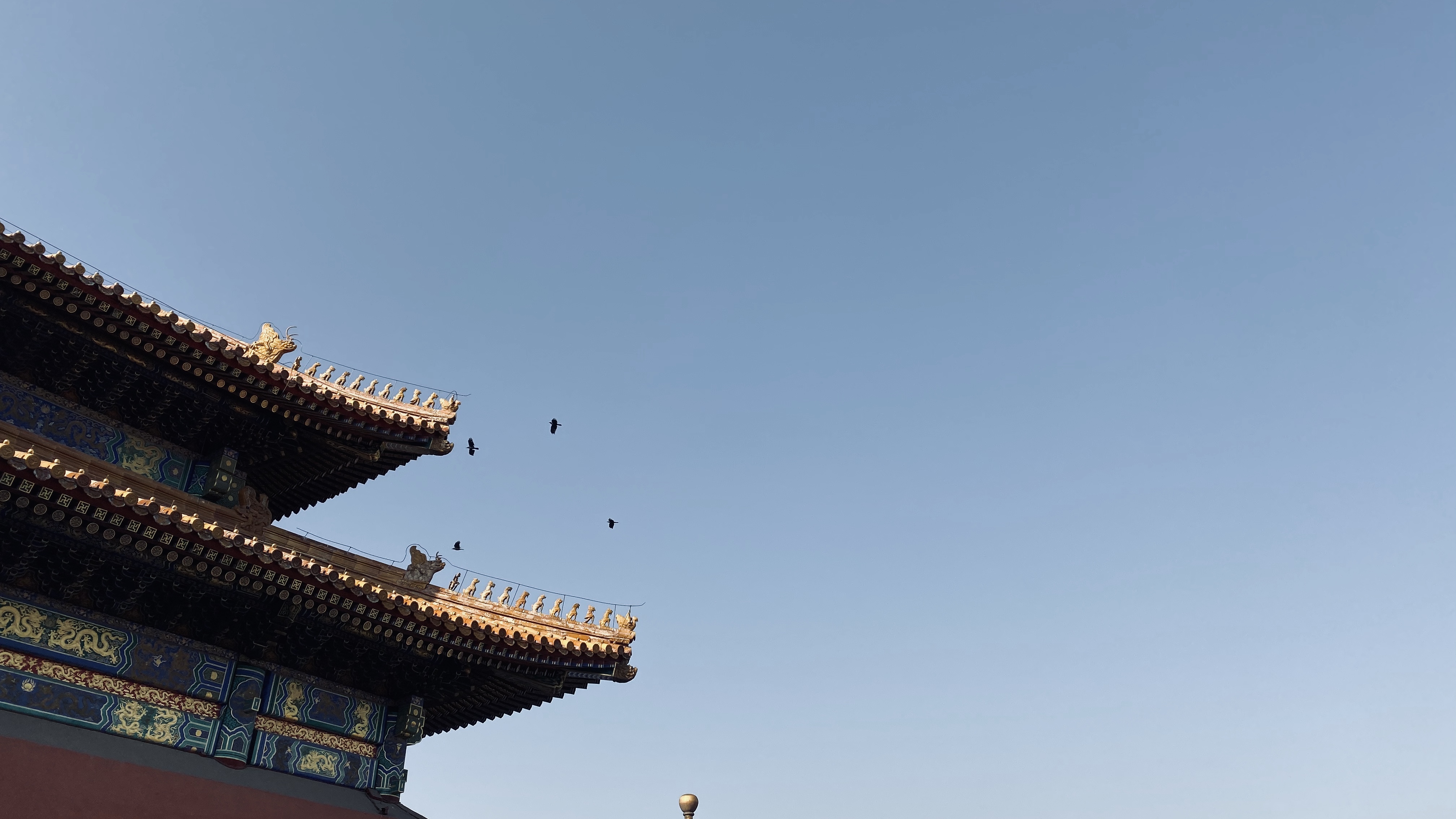 不明白的明白的個人主頁（封面預覽） - 主頁封面設(shè)置 - 站酷設(shè)計師不明白的明白原創(chuàng)素材 - 站酷ZCOOL