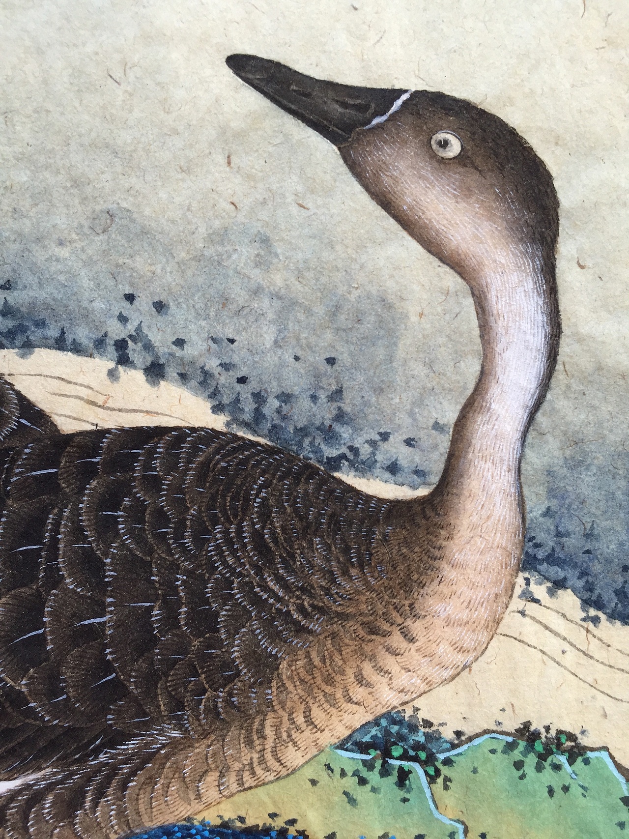 藏君绘《十钗声》工笔重彩花鸟