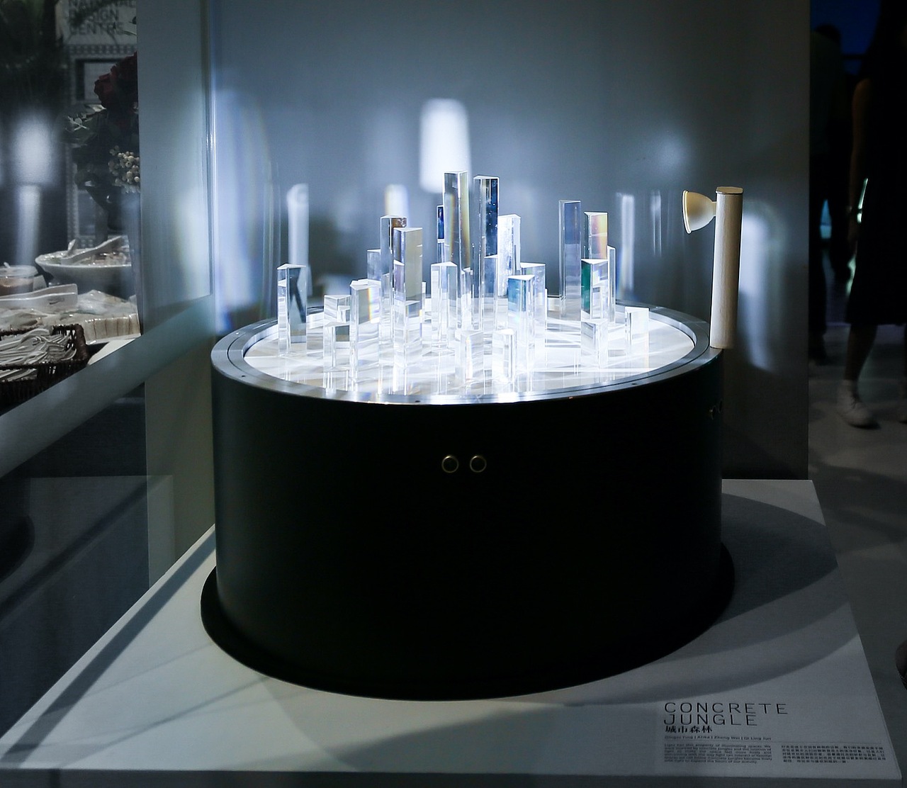 城市森林 CONCRETE JUNGLE--新加坡南洋理工学院交换作品展示