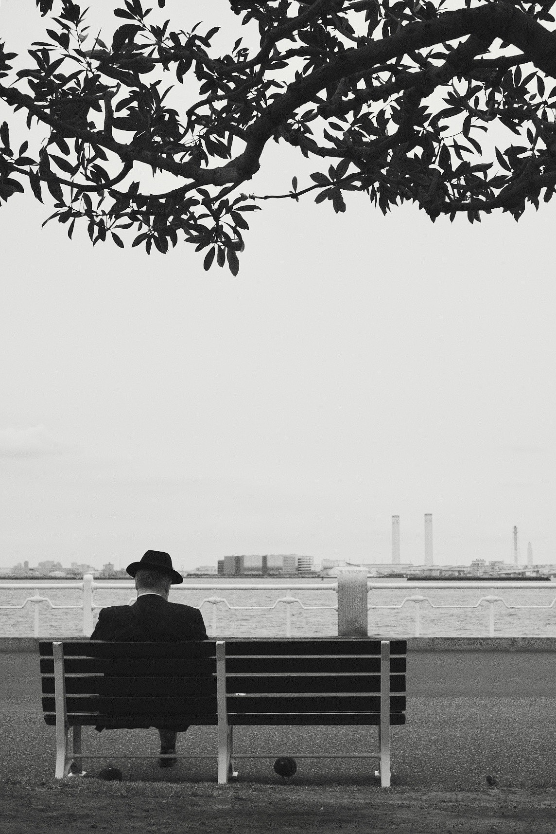 黑白灰的世界（图ZMjI5OTA3MzY0） - 风光摄影 - 站酷设计师SEKll原创素材 - 站酷ZCOOL