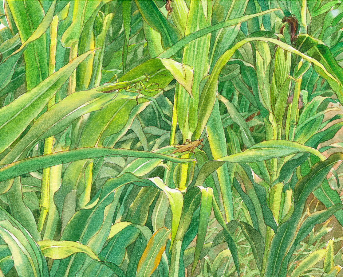 画到记忆深处（图ZMjA3Mjk5NTUy） - 绘本 - 站酷设计师1979水印原创素材 - 站酷ZCOOL