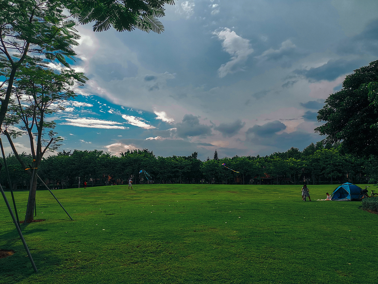 【手机摄影】草坪