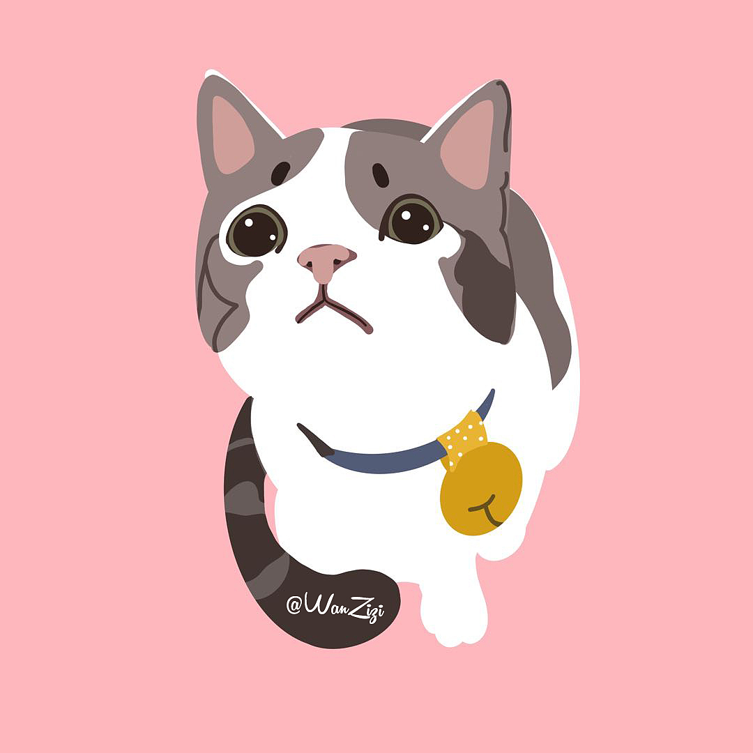 猫咪（图ZMTc2NzY0ODI0） - 创作习作 - 站酷设计师玩子慢吞吞原创素材 - 站酷ZCOOL