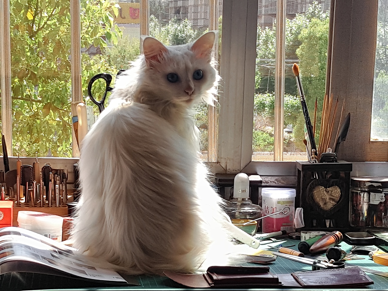 入门拙作:(五一日常)二折皮夹