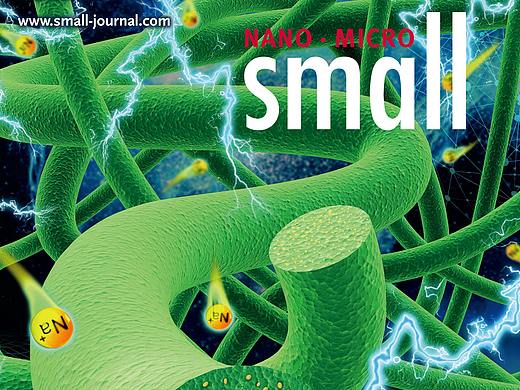 邦图科研绘图作图SCI学术期刊封面配图三维摘要图设计