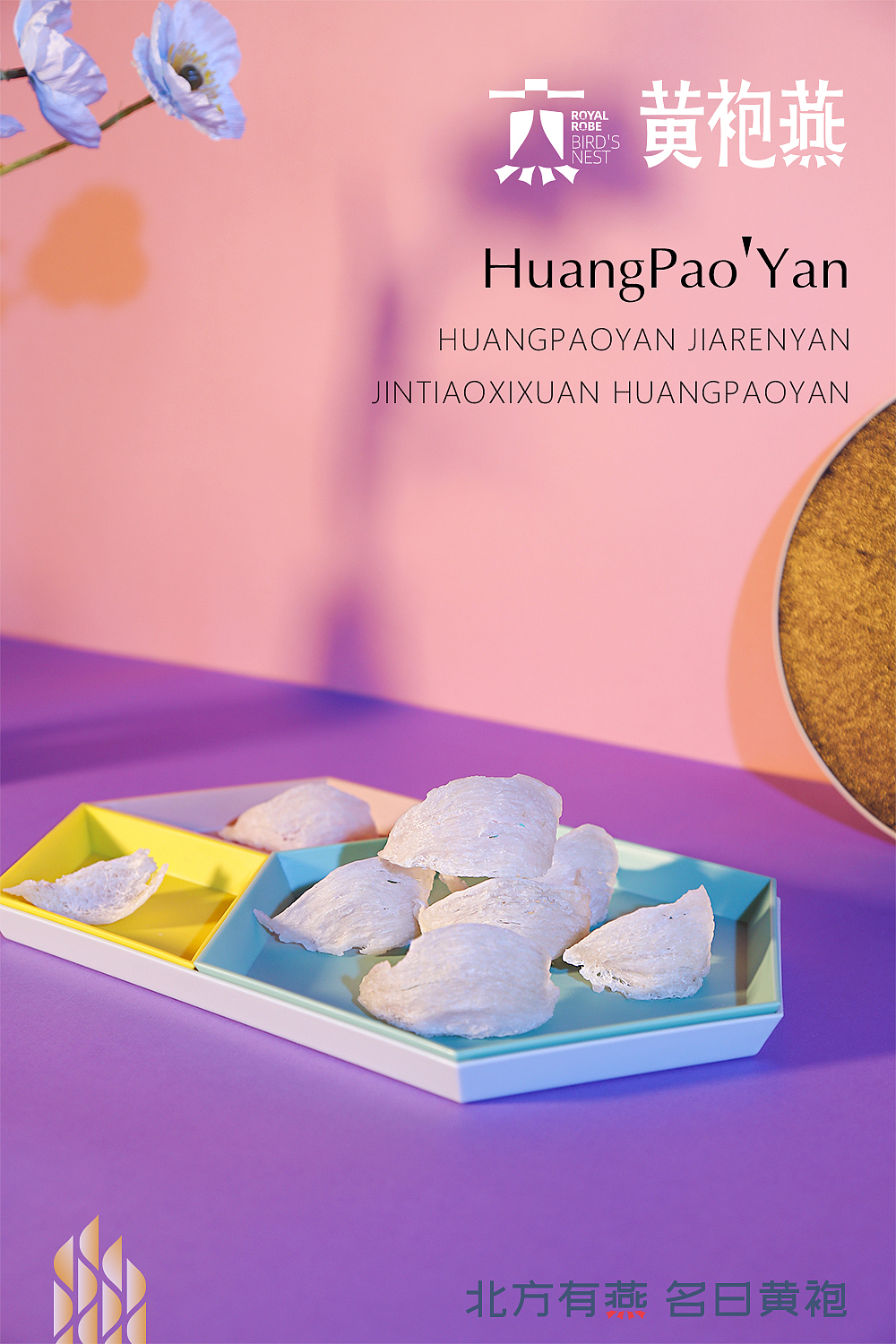 品牌摄影提案(干燕窝)