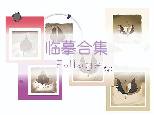 叶子临摹合集🍃（个人主页-ZNTM1ODA1NDg=） - 创作习作 - 站酷设计师小康Rbb原创素材 - 站酷ZCOOL