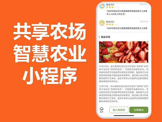 智慧农业小程序，定制开发与开源源码二次开发有何区别