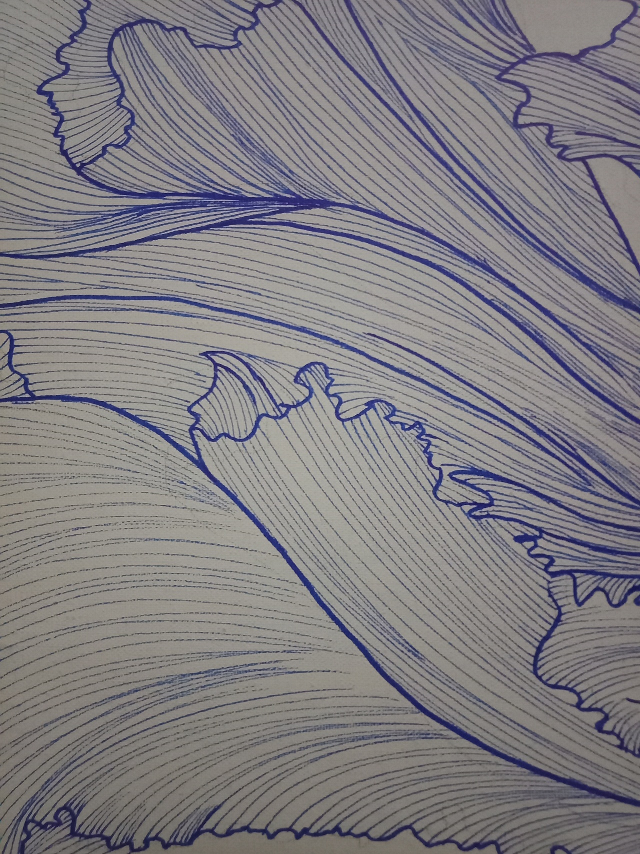 排线- 原创作品 - 站酷(zcool)