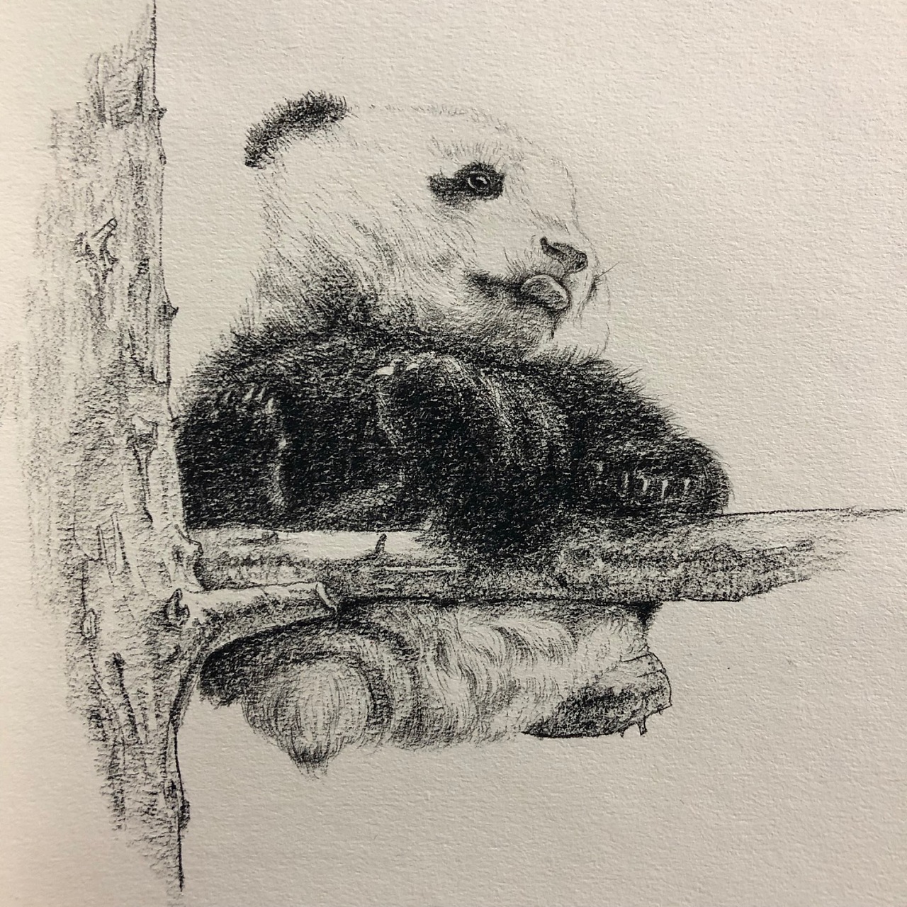 熊猫|纯艺术|绘画|实在不妥 - 原创作品 - 站酷 (zcool)