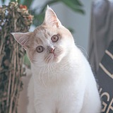 Kalay何小蕾的头像