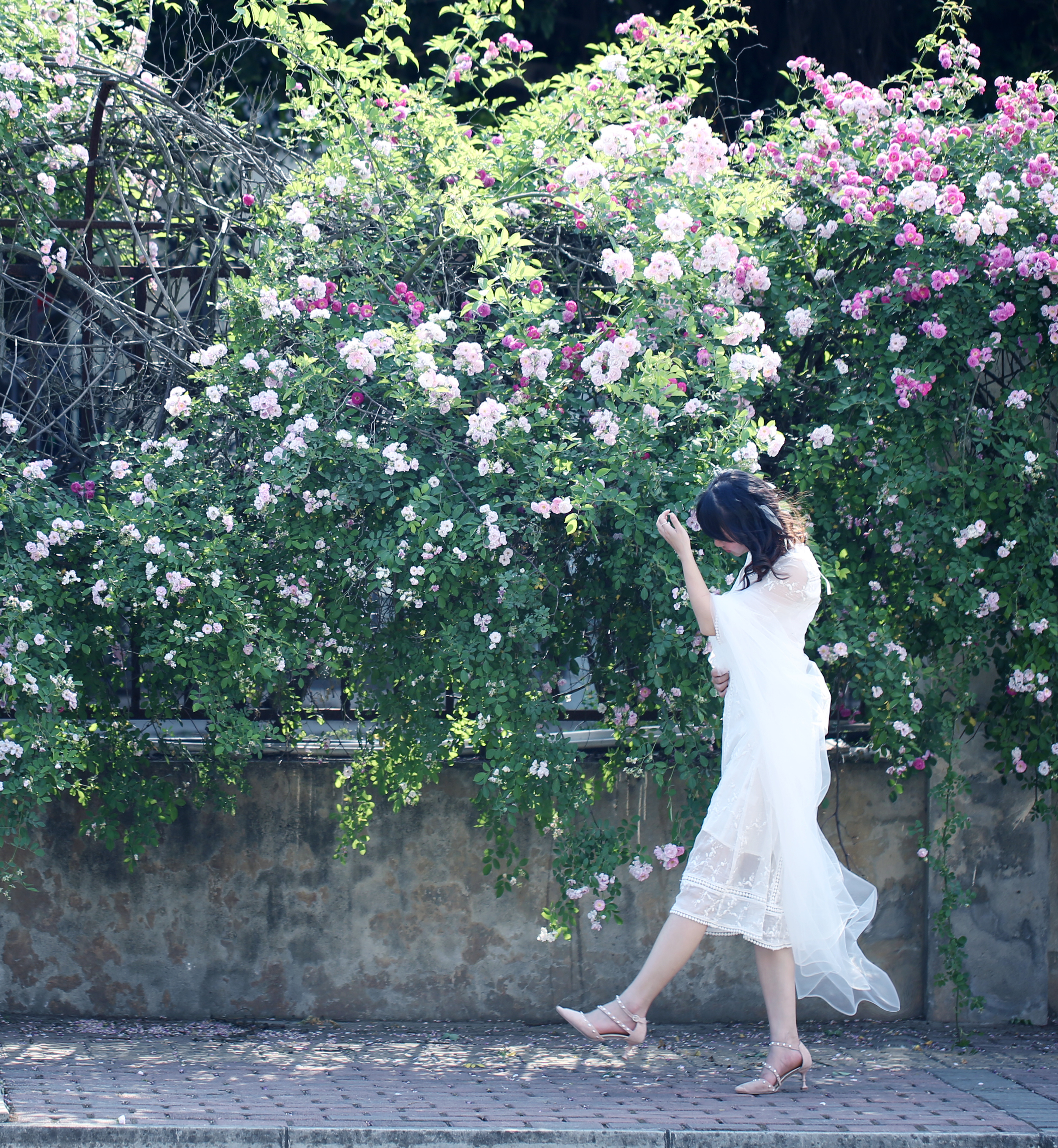 人像摄影 人物摄影春天蔷薇月季花