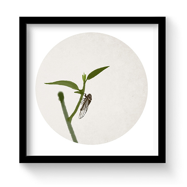 水墨中国风——竹间系列·中式禅意装饰画(效果图)