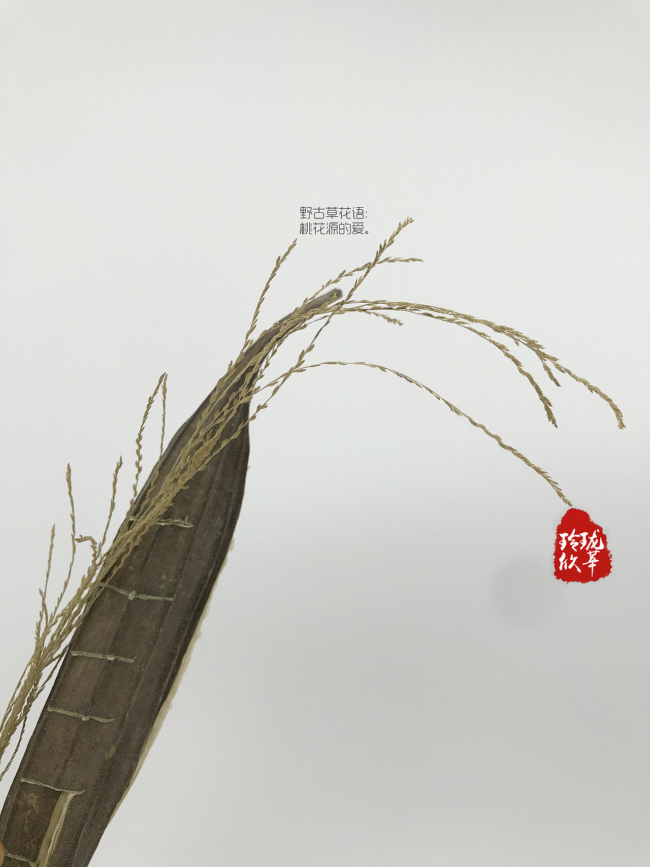 玲珑欣莘艺术插花作品：帆.航烸[hǎi]（图ZMTg0MDU1NDUy） - 其他手工艺 - 站酷设计师xingxing101原创素材 - 站酷ZCOOL