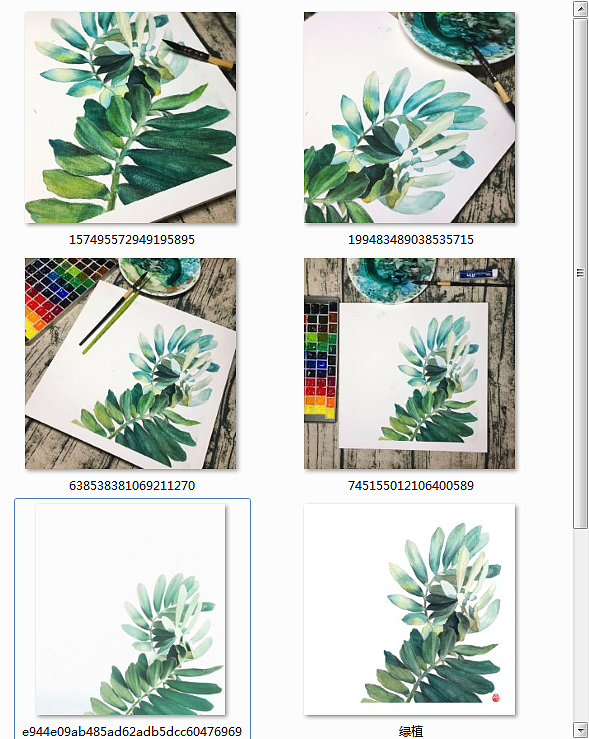 绿植（图ZNzc5Nzk4MzI=） - 商业插画 - 站酷设计师萌萌萌萌萌M原创素材 - 站酷ZCOOL