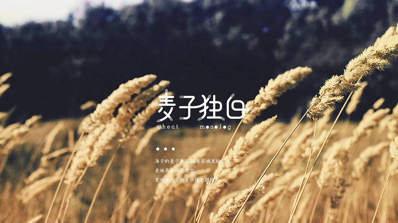 麦子独白 X 素造 听麦子的诗意独白（图ZMTAyOTcwODUy） - 品牌 - 站酷设计师素造设计原创素材 - 站酷ZCOOL