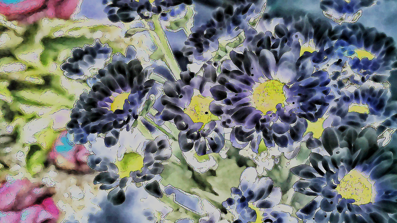 阿姨我就是个画家