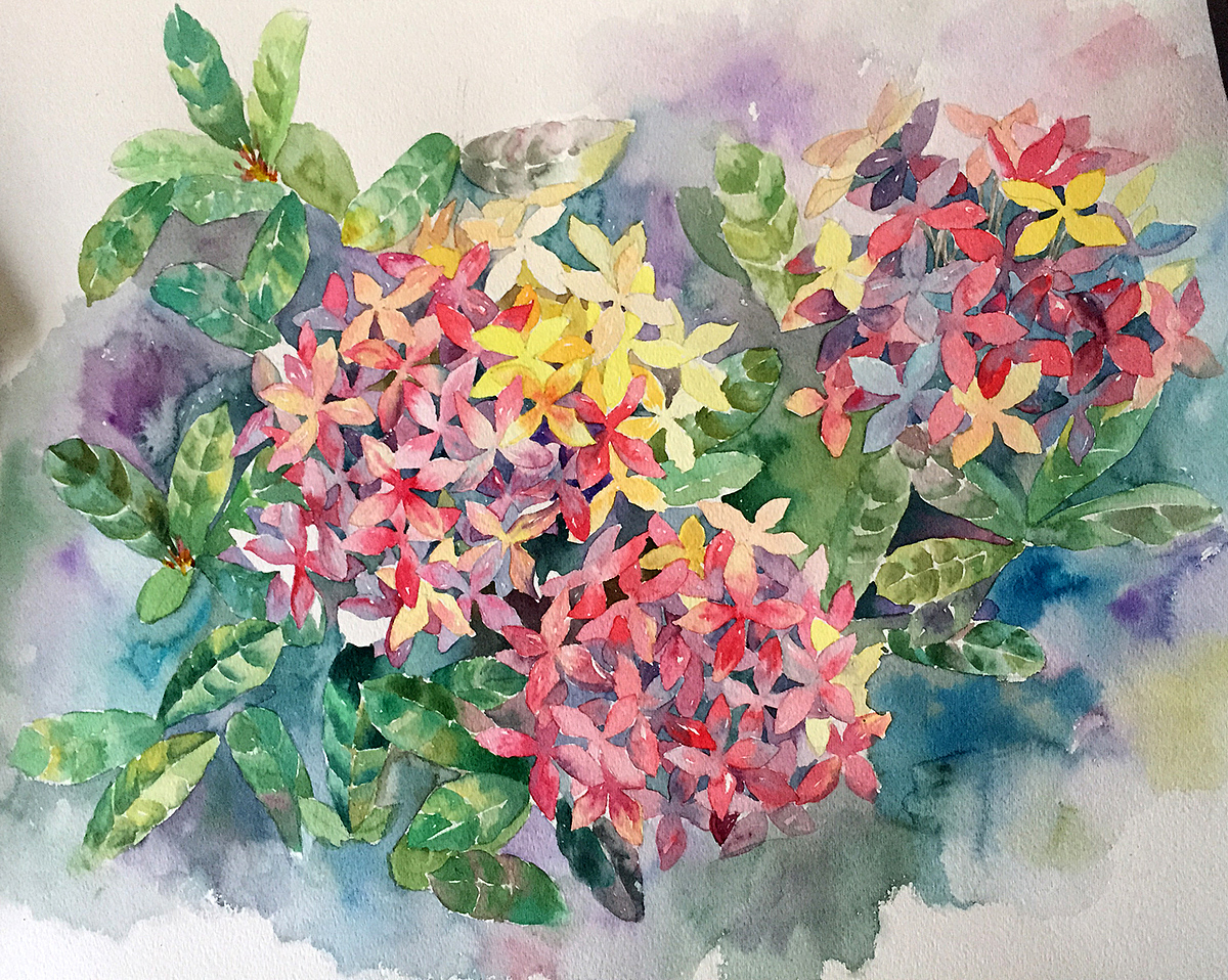 水彩练习（图ZMjM0NzgwMTIw） - 绘画 - 站酷设计师XIUJIA大耳朵原创素材 - 站酷ZCOOL