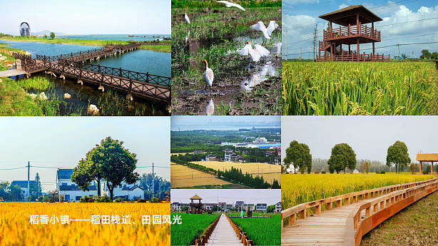旅途之太湖游记IP形象设计-牛小米（图ZMjE0OTYyNTA0） - IP形象 - 站酷设计师Eve咕咕鸟原创素材 - 站酷ZCOOL