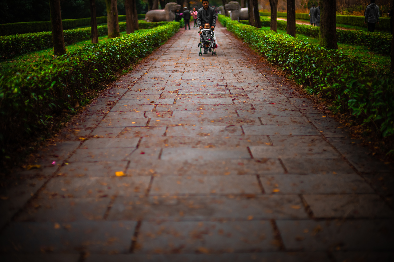 南京 零碎照片（图ZMTg1MDUwNTI4） - 人文/纪实摄影 - 站酷设计师JingPacify原创素材 - 站酷ZCOOL