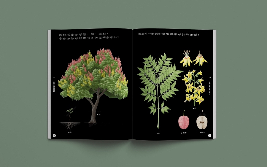 设计分享/ 《美感教科書第三季》