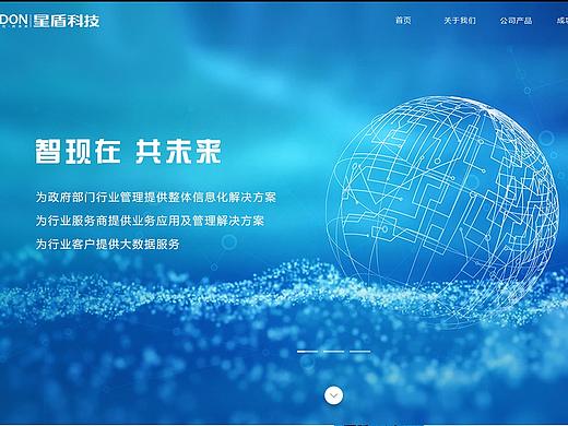 最近的几个网站首页