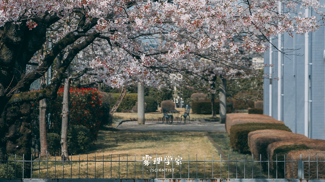 涉谷八公 | Photo | 雾里学家scientis | 3