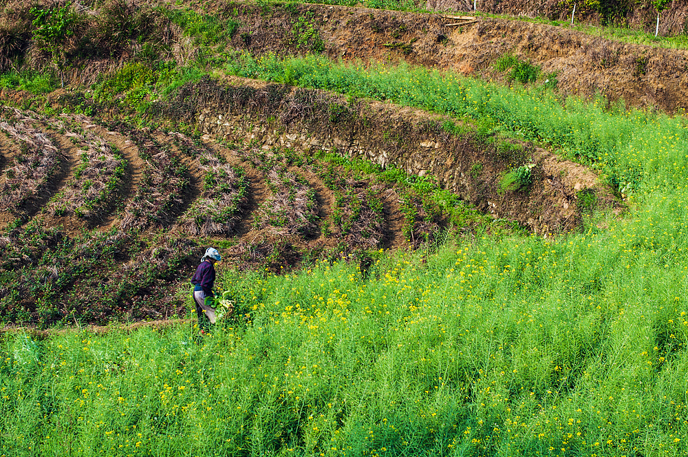2014.04.05-04.07 婺源
