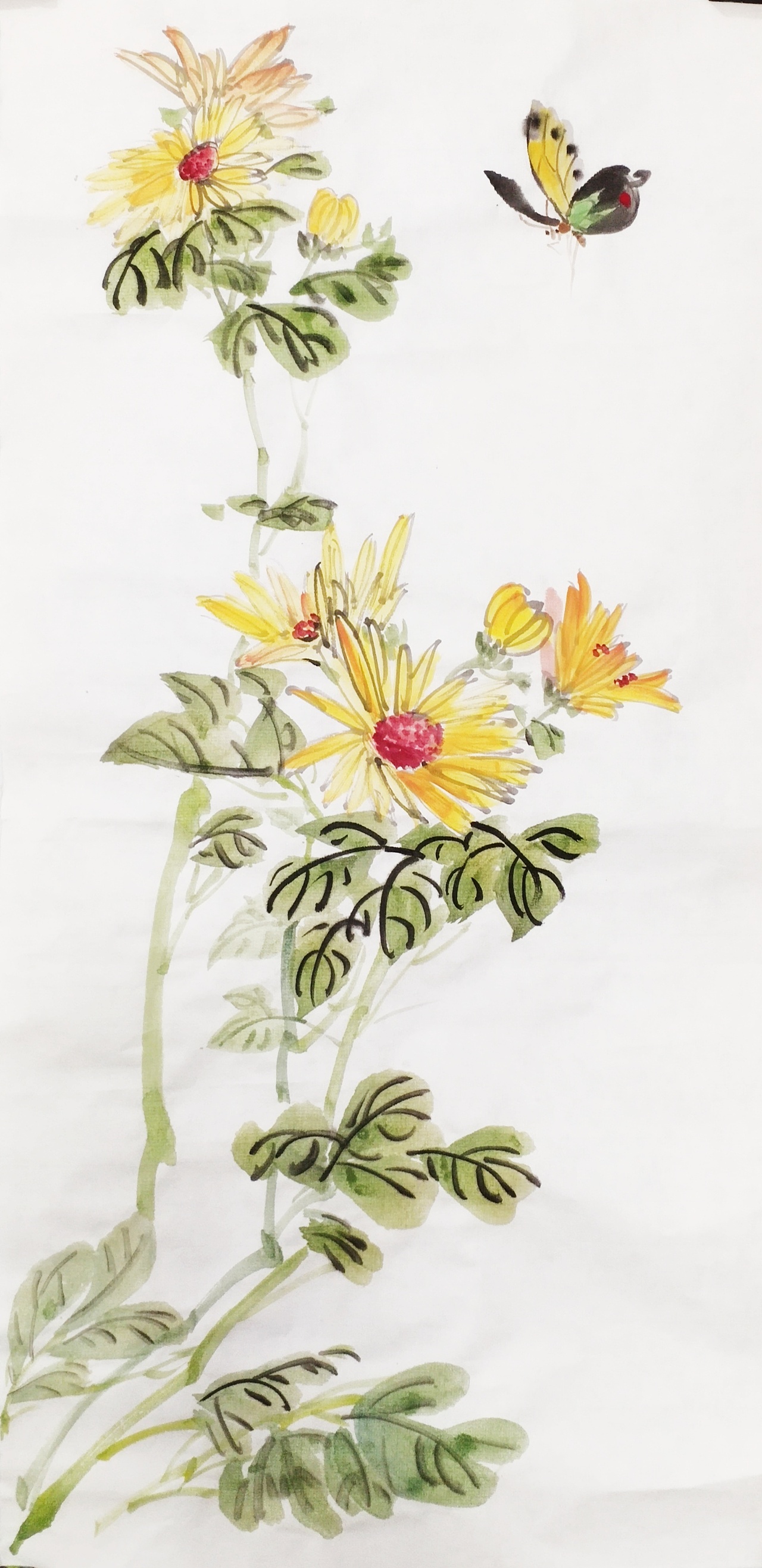 写意花鸟（图ZMTY2NTk2NjM2） - 绘画 - 站酷设计师一只有思想的猫原创素材 - 站酷ZCOOL